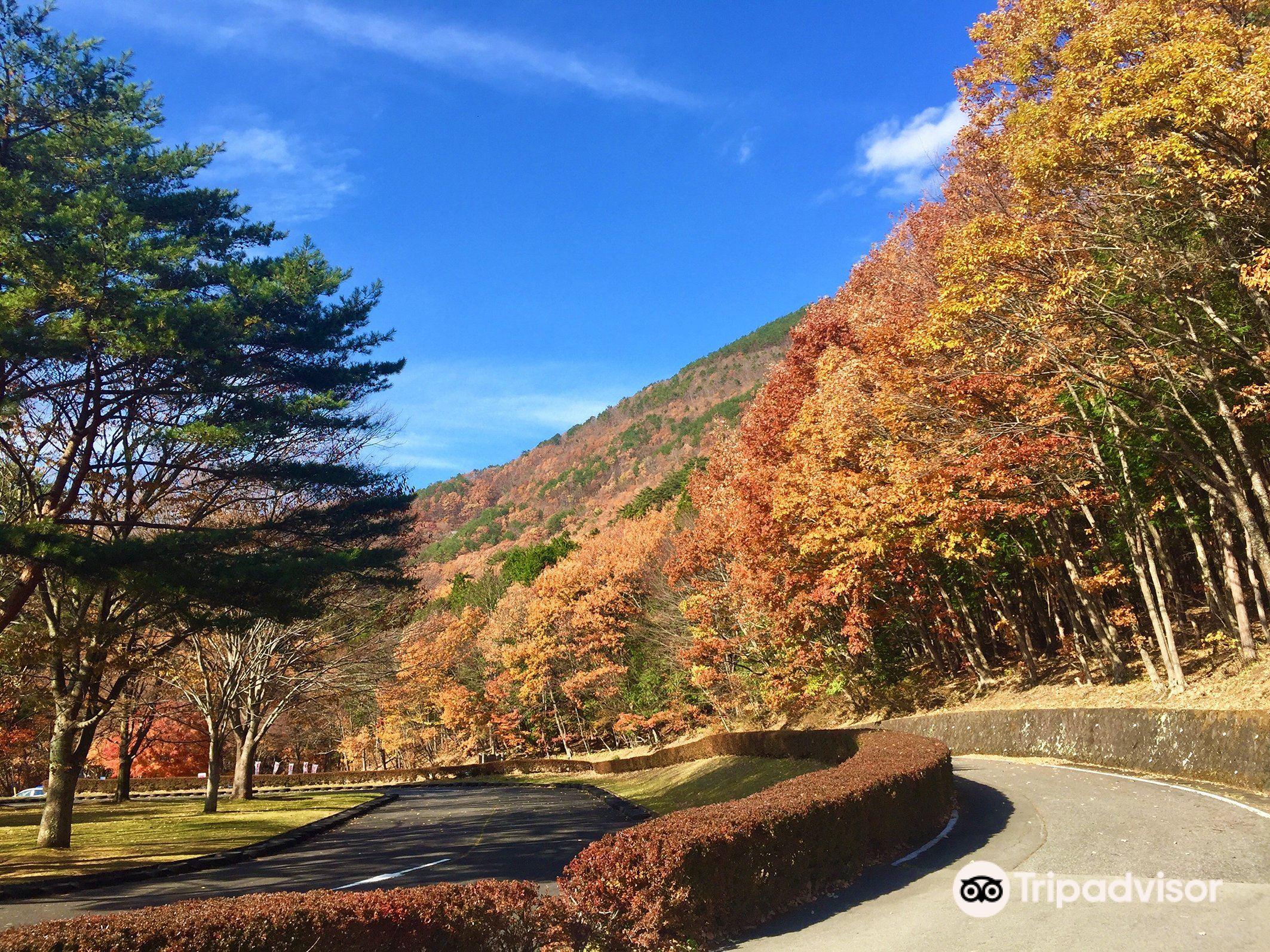 🏞️ 하코노모리 플레이 파크 이미지 6